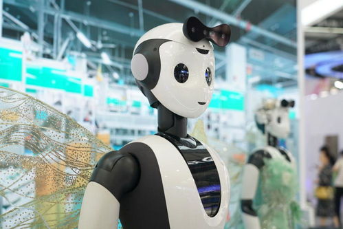 镜观服贸会 中国智造服务世界——聚焦摄影摄像服务新高度